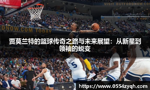 博鱼体育